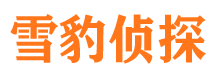 石峰市婚姻出轨调查